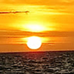 Meet your Posher, Jackson